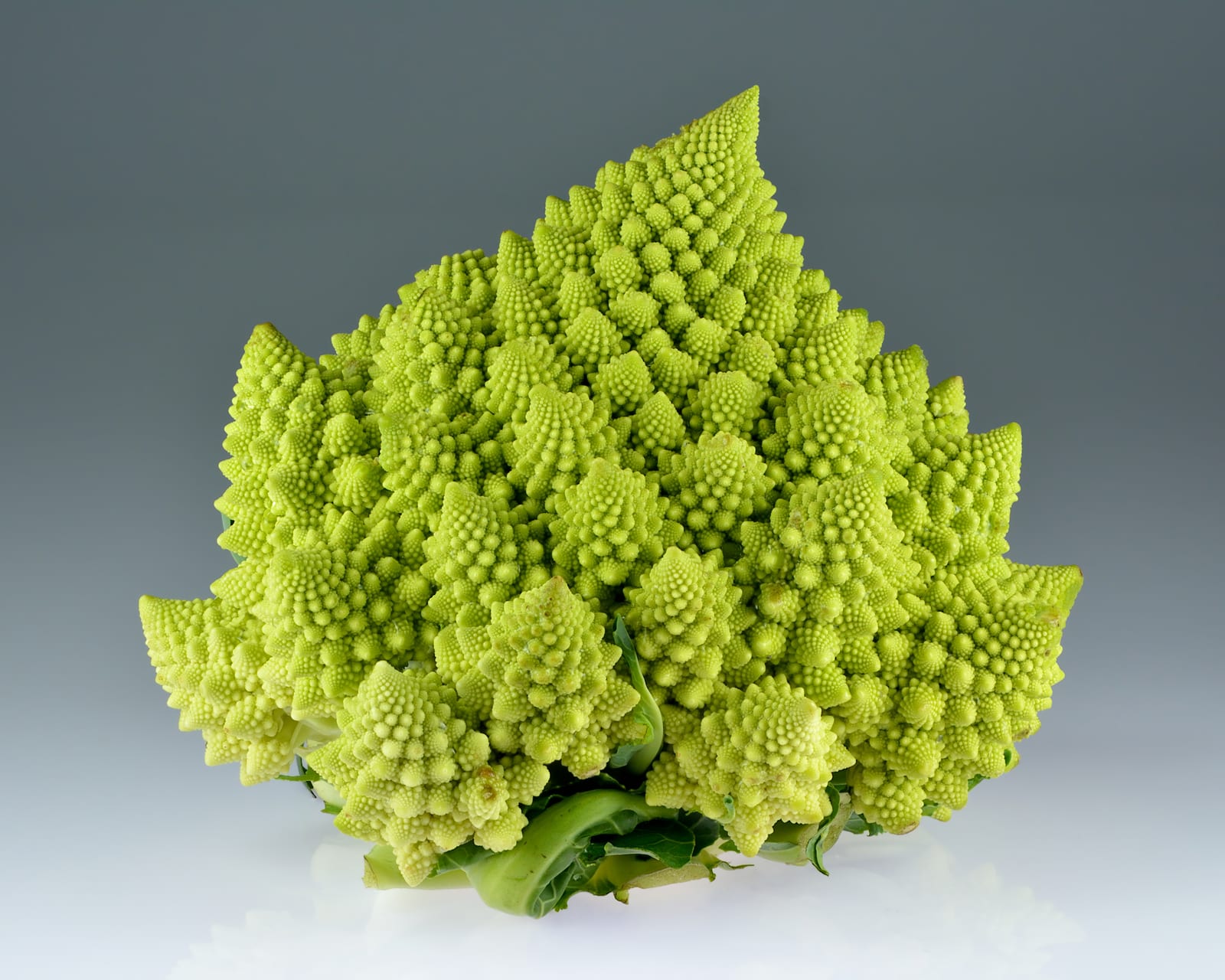 Broccoli thumbnail 3